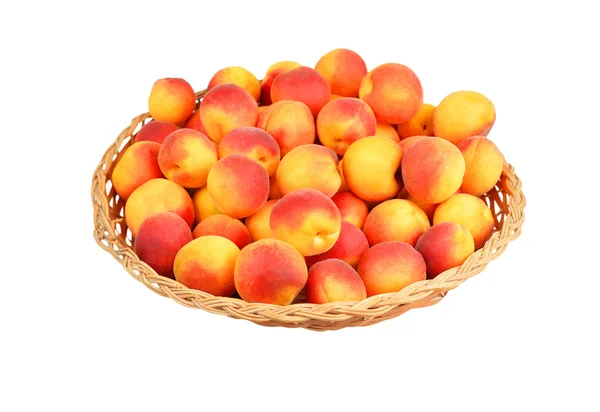 Apricot in Chalinolobus plaat — Stockfoto