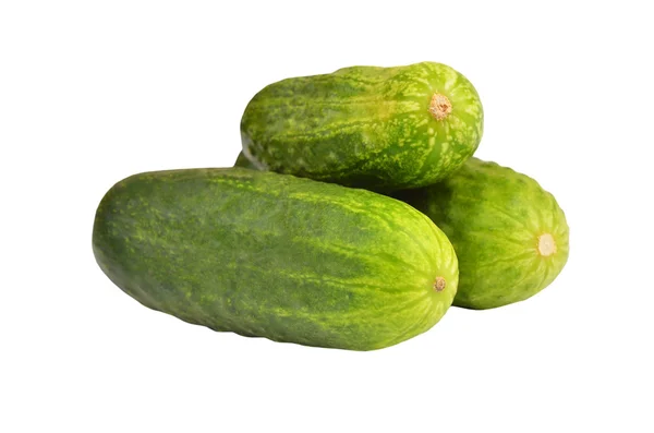 Green cucumber gherkin — Stock Photo, Image