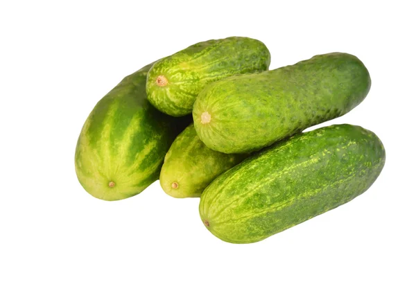 Groene komkommer augurk — Stockfoto