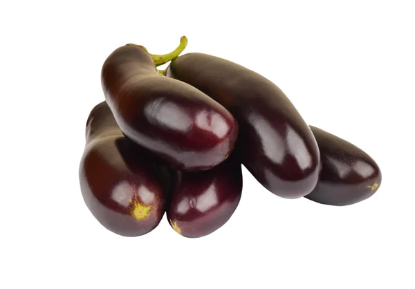 Aubergine på vit — Stockfoto