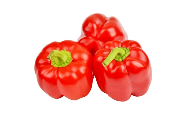 Rode peper op witte — Stockfoto