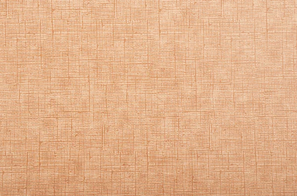 Cardboard textured background — Stock Photo, Image