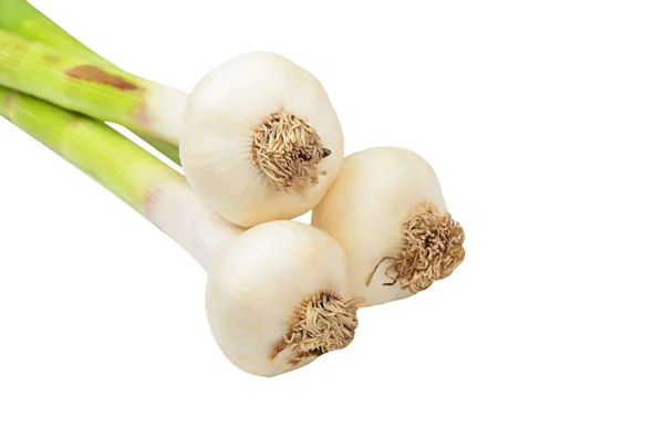 Garlic on white — Stock Photo, Image