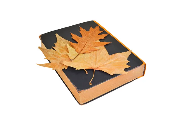 アンティーク本と秋の葉 — ストック写真