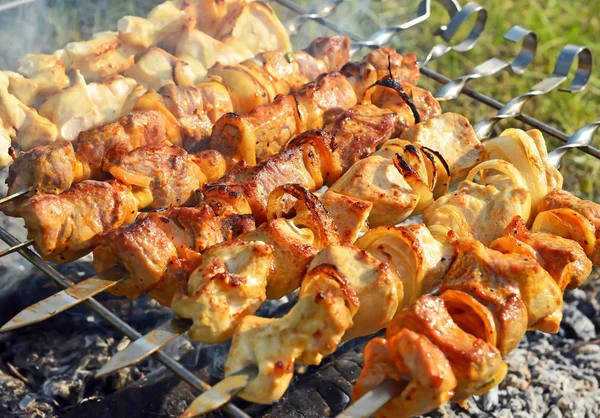 Kebab di shish, Dof. — Foto Stock