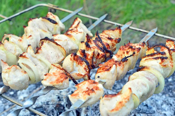 Shish kebab, Dof. — Stockfoto