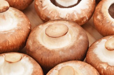 Champignon (gerçek mantar)