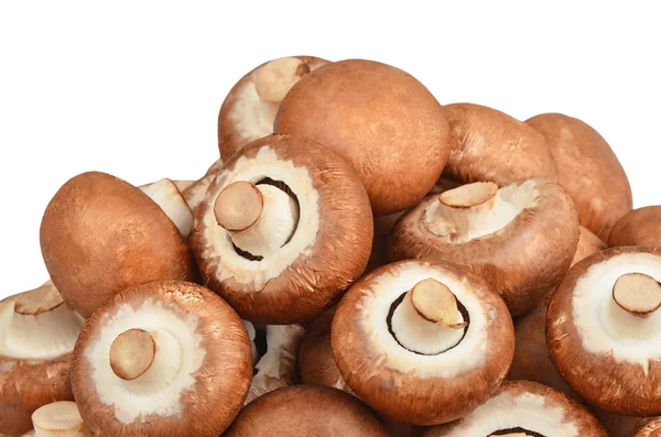 Champignon (prawdziwe grzyby) — Zdjęcie stockowe