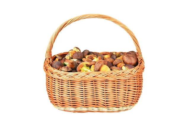 Borowik szlachetny grzyby w koszyku — Zdjęcie stockowe