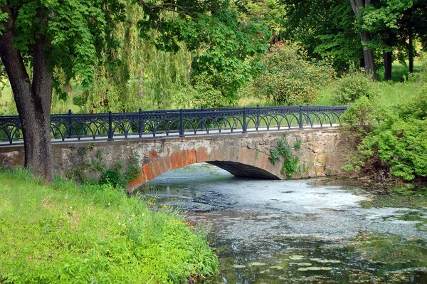 Park bridge at spring — Stock Photo, Image