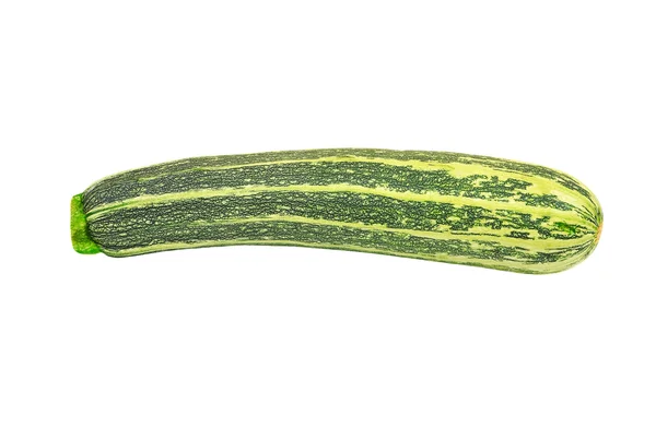 Vegetabiliska märg (zucchini) — Stockfoto