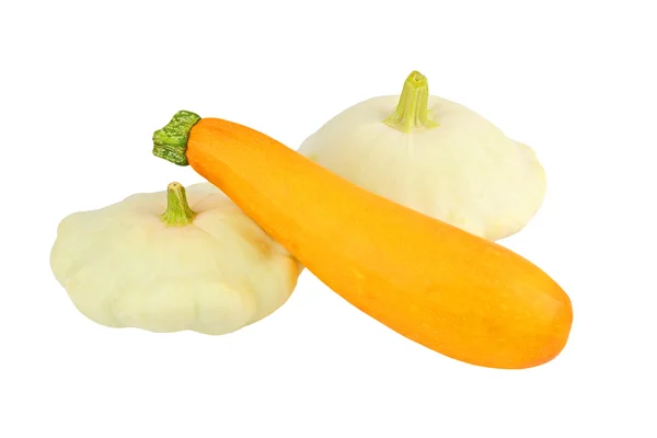 Creme vieiras e abóbora (Cucurbita pepo var. patisso — Fotografia de Stock