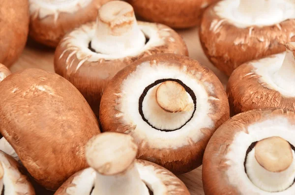 Champignon (True mushroom) — Stock Photo, Image