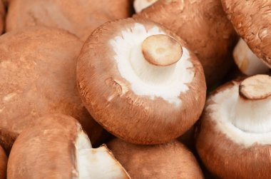 Champignon (gerçek mantar)