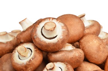 Champignon (gerçek mantar)