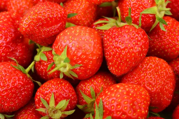 Fragola, da vicino — Foto Stock