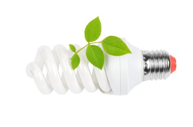 enerji tasarruflu ampul ve bitki