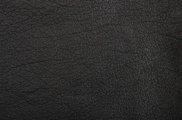 Natural leather background — Stock Photo, Image