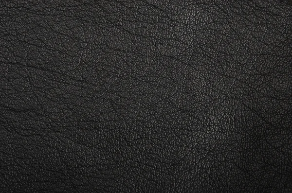 Natural leather background — Stock Photo, Image