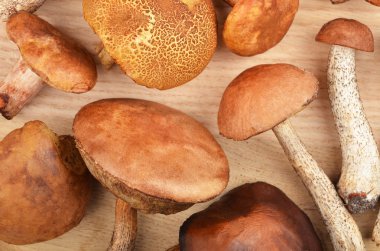 Ahşap tahta üzerinde vahşi orman mantar