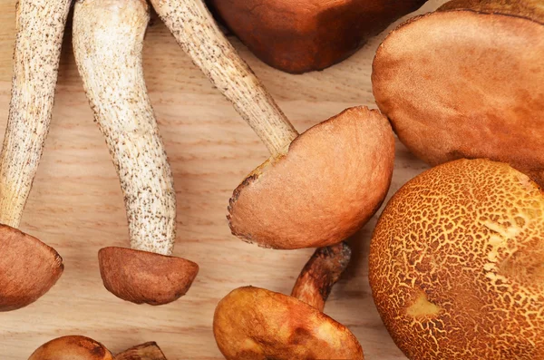 Wild forest mushroom on wooden board — Stock Photo, Image