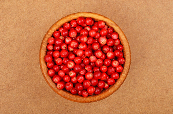 Lingonberry (Vaccinium vitis-idaea)