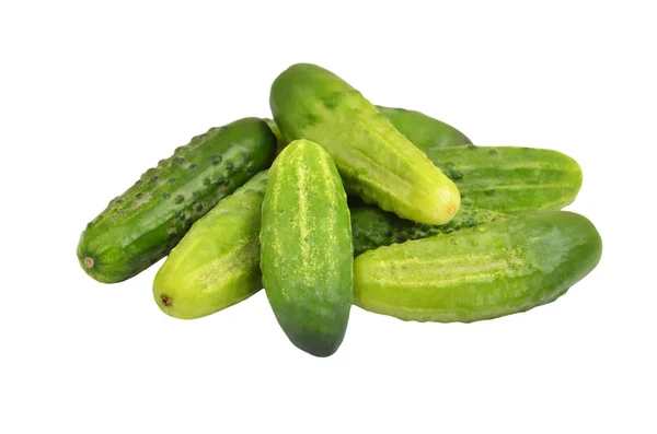 Green cucumber gherkin — Stock Photo, Image