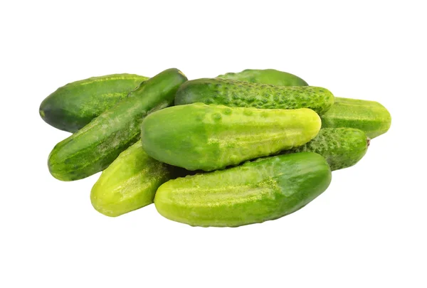 Green cucumber gherkin — Stock Photo, Image