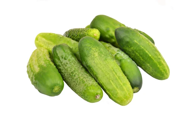 Green cucumber gherkin — Stock Photo, Image