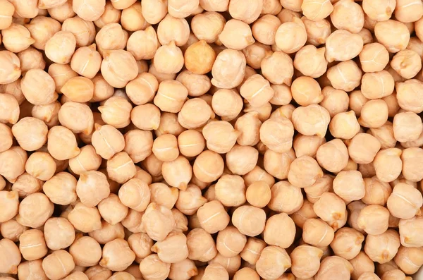 Close up of chickpea — Stock Photo, Image