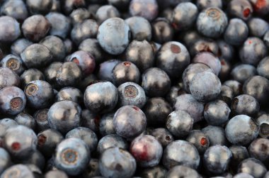 Doğal arkaplan olarak taze yaban mersini.