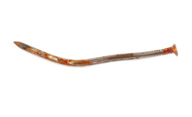 Paslı tırnak, beyaz arka planda izole