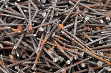 Paslı tırnak, arka plan olarak kapat, DOF