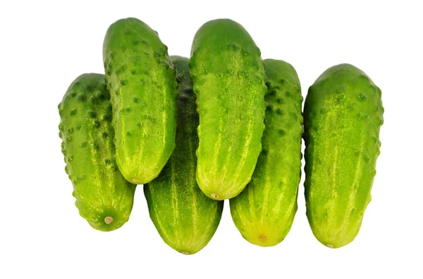 Fresh Green Cucumber Gherkin Isolated White Dof — Stock Photo, Image