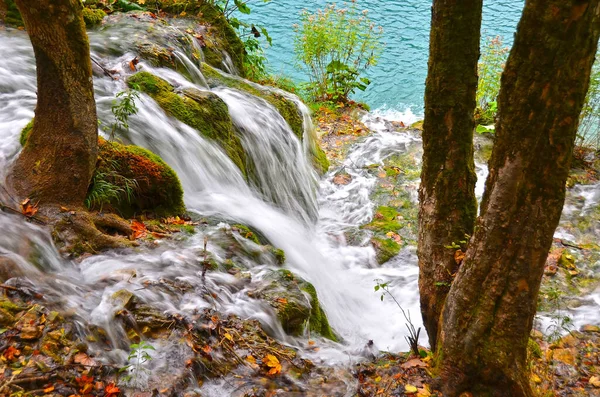 Όμορφος Καταρράκτης Στο Εθνικό Πάρκο Plitvice Lake Κροατία — Φωτογραφία Αρχείου