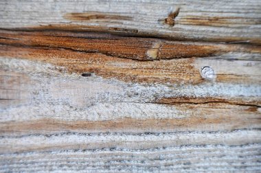 Ahşap desenli arka plan çekimi, kapatın.