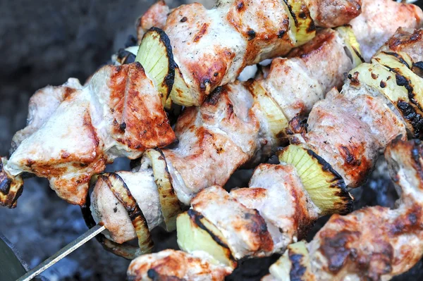 Kebab di shish, Dof — Foto Stock