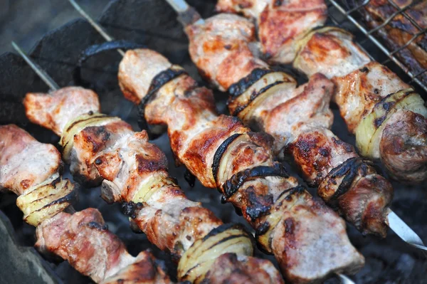 Shish kebab, Dof — Fotografia de Stock