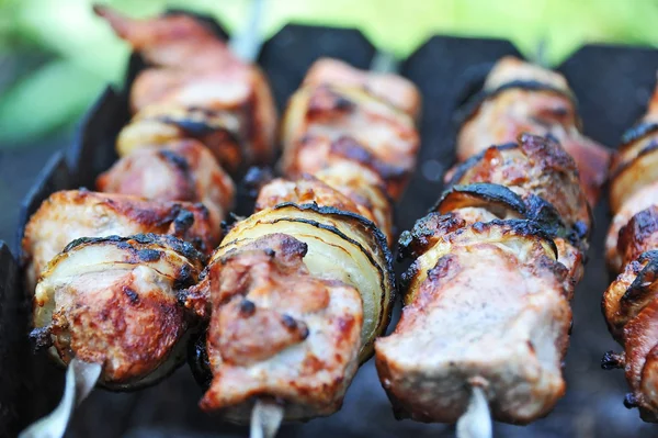 Shish kebab, Dof — Photo