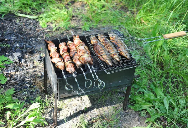 Tabaco de carne e peixe shish grelhado — Fotografia de Stock
