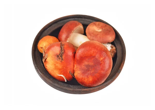 빈티지 점토 그릇에 boletus 새싹 버섯 — 스톡 사진
