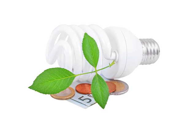 Energy saving light bulb, money and plant — Stock Photo, Image