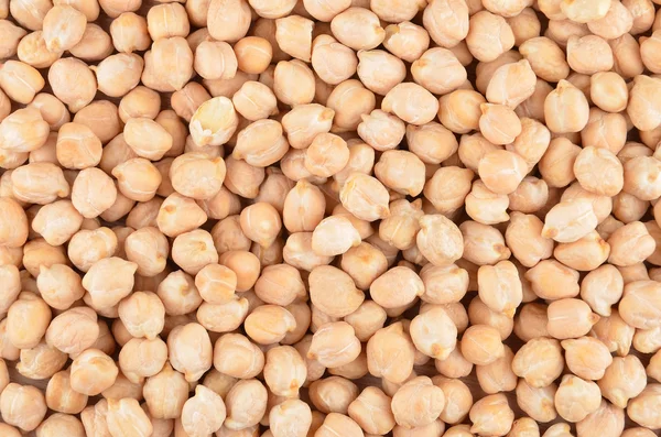 Close up of chickpea — Stock Photo, Image