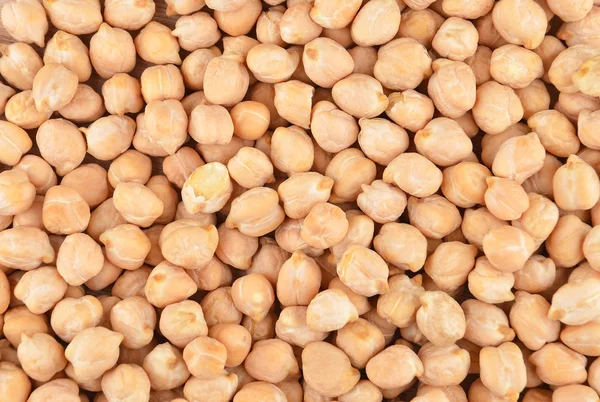 Close up of chickpea — Stock Photo, Image