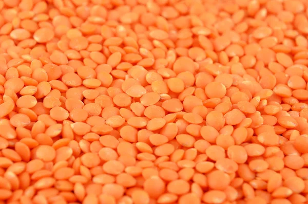 Red lentil background — Stock Photo, Image