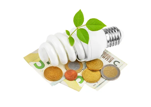 Energy saving light bulb, money and plant — Stock Photo, Image