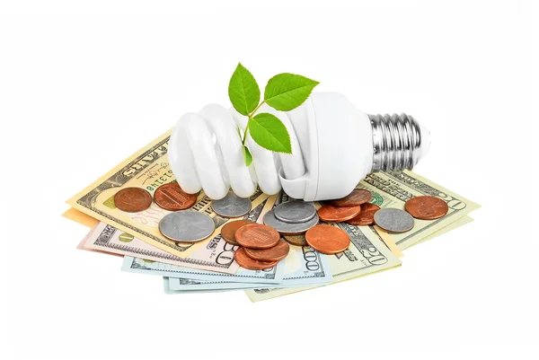 Lampadina a risparmio energetico, denaro e impianto — Foto Stock