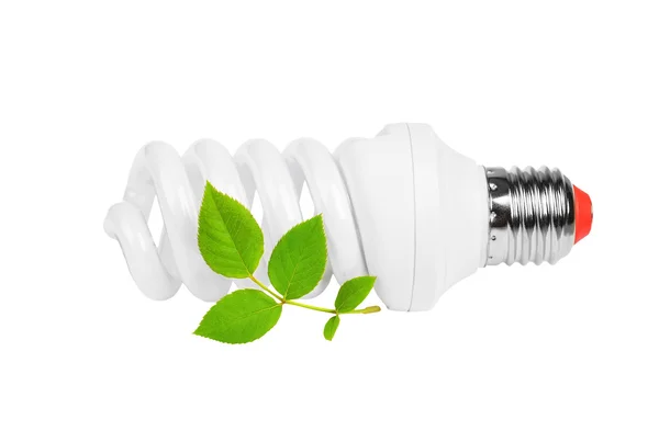 Energy saving light bulb and plant Royalty Free Stock Photos