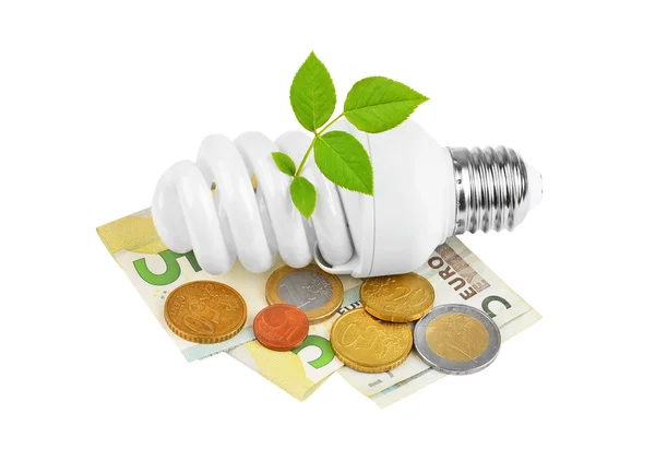 Energy saving light bulb, money and plant — Stock Photo, Image