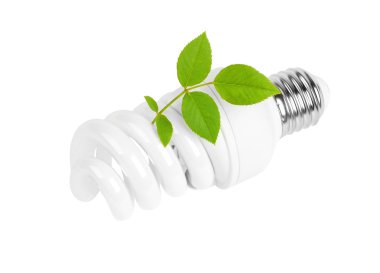 enerji tasarruflu ampul ve bitki